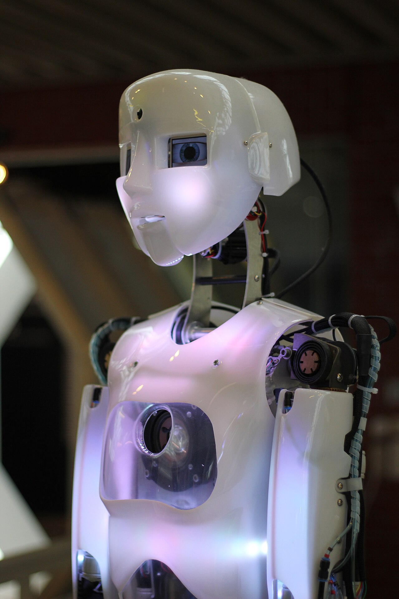Robots in 2026: What Should We Really Expect? A Reality Check.