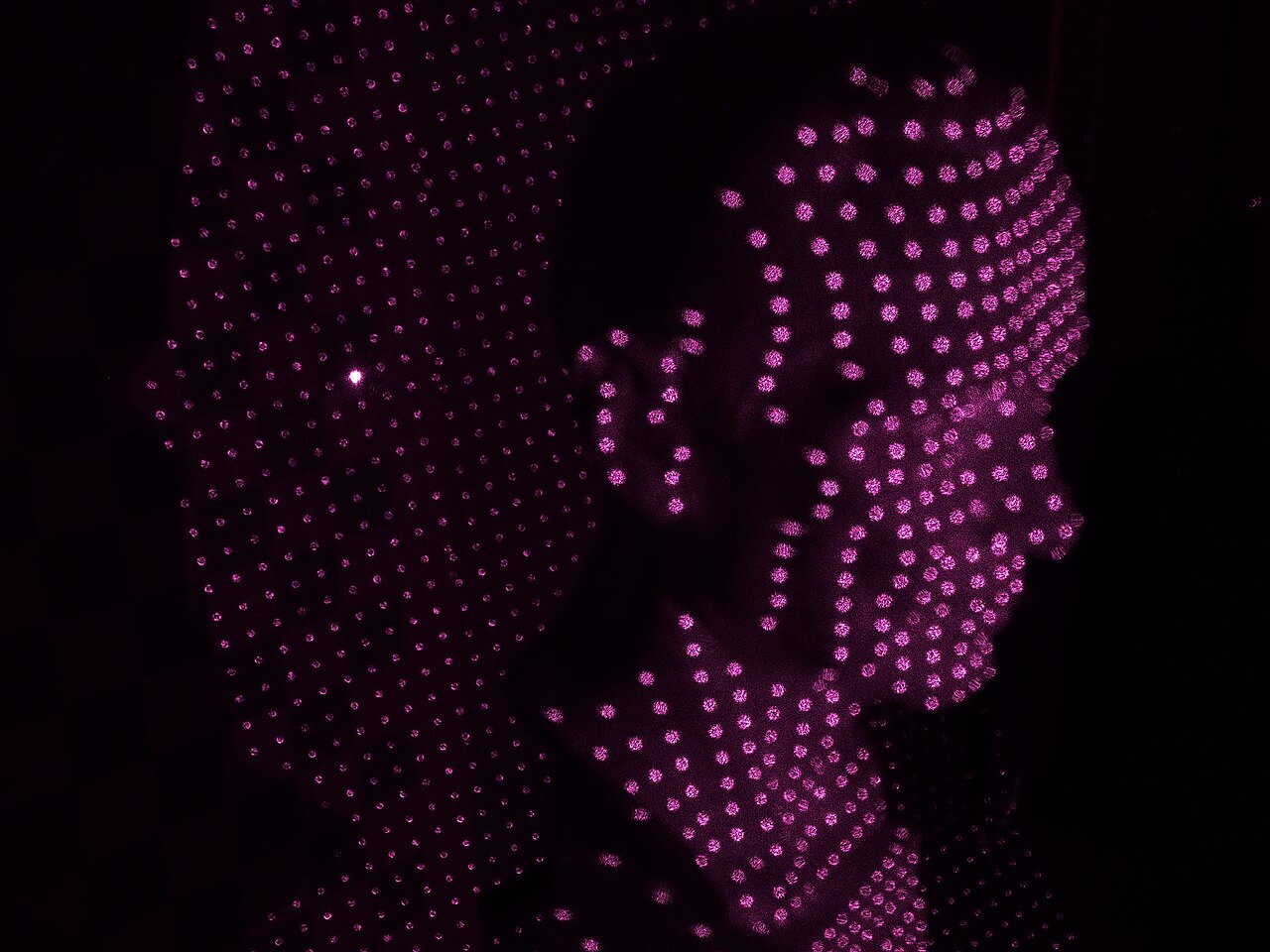 What a Robot Really Sees: The Gap Between Pixels and Perception